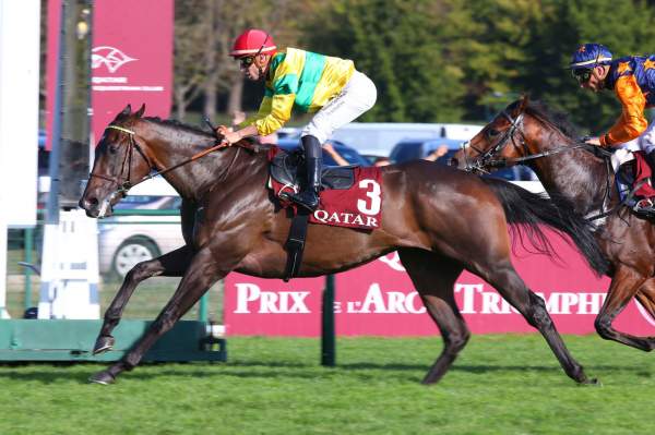 Fang Arrivée PMU Qatar Prix du Pin à ParisLongchamp