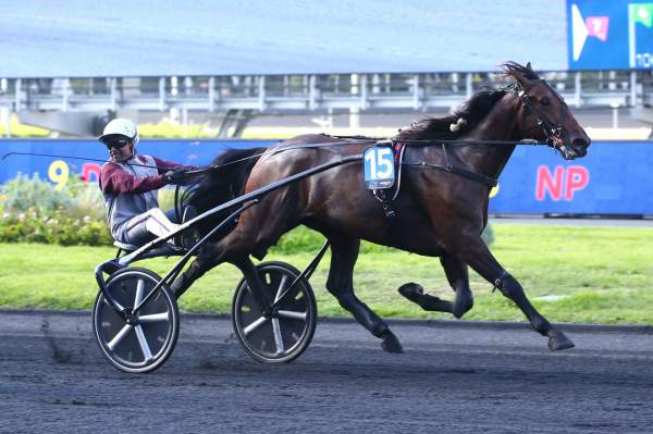 Just A Gigolo CRITERIUM DES 3 ANS - G1 - Hippodrome de VINCENNES 18/09/2022