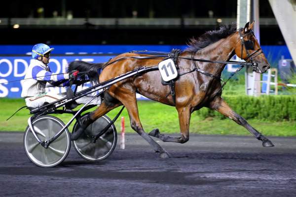 Grace Du Digeon Arrivée Quinté+ PMU Prix Cléomède à Vincennes
