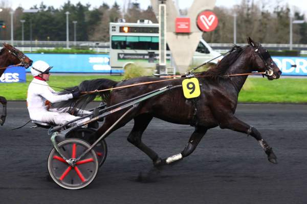 He And Me PRIX DE VIC-SUR-CERE - CE - QUINTE + HIPPODROME DE VINCENNES 07/01/2023