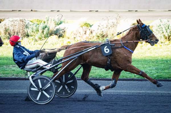 KATIM DU GOUTIER