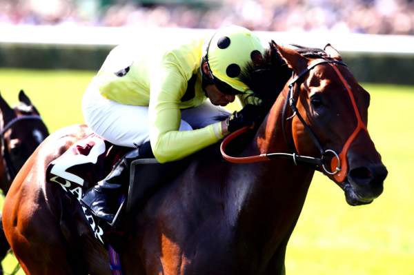 Rosallion arrivée PMU Prix Jean-Luc Lagardère (Gr.1) à ParisLongchamp