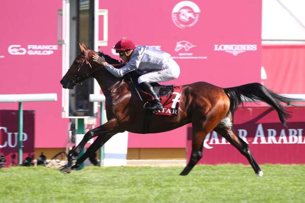 Al Ghadeer Arrivée PMU Qatar Arabian World Cup à ParisLongchamp