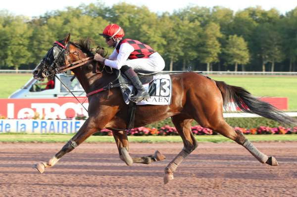 FALCON D'ESPACE