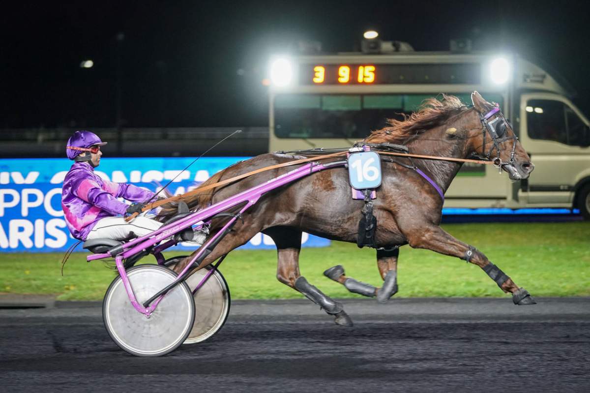 Houston Peji horse Looking Ahead: What’s Next for the Prix Lionel Gazengel?