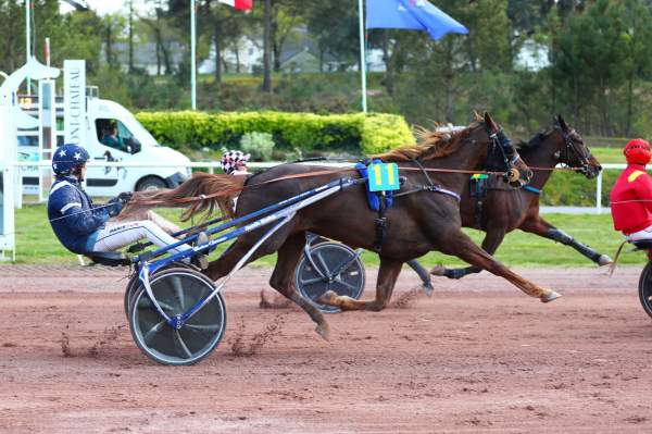 ISTAR DES RACQUES