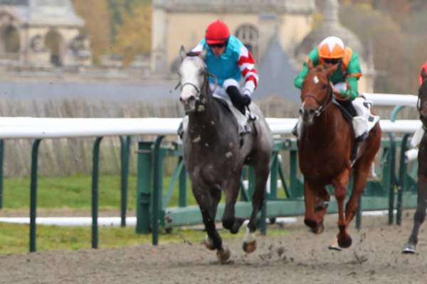 SILVER SPUR