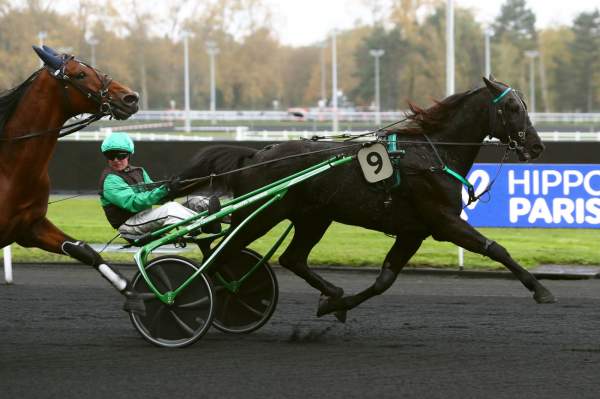 Iris Intense Arrivée Quinté+ Pmu Prix d'Harfleur à Vincennes