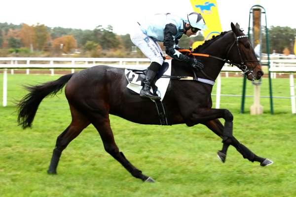 ILLIKO DES PLANS