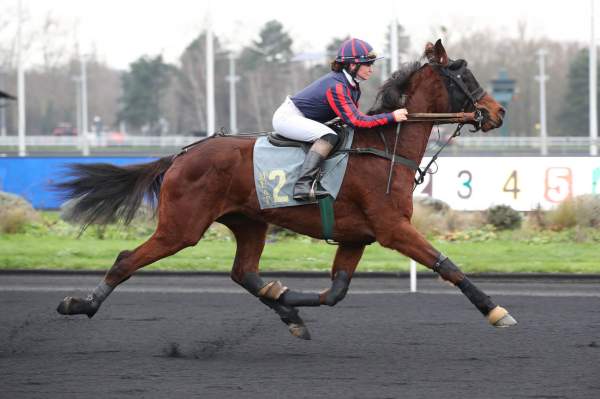 JAVRILLON
