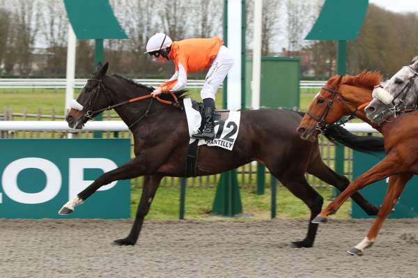 Kapani arrivée Quinté+ PMU du Jardin des Eaux Minérales à Chantilly
