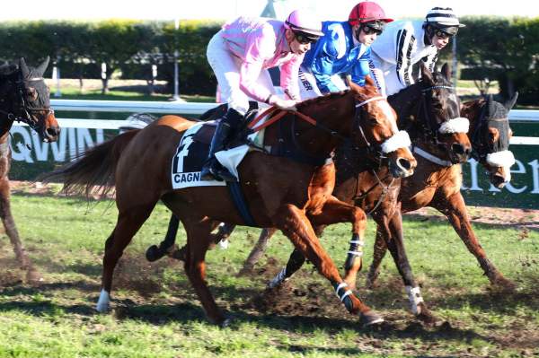FORMIDABLE LE DUN