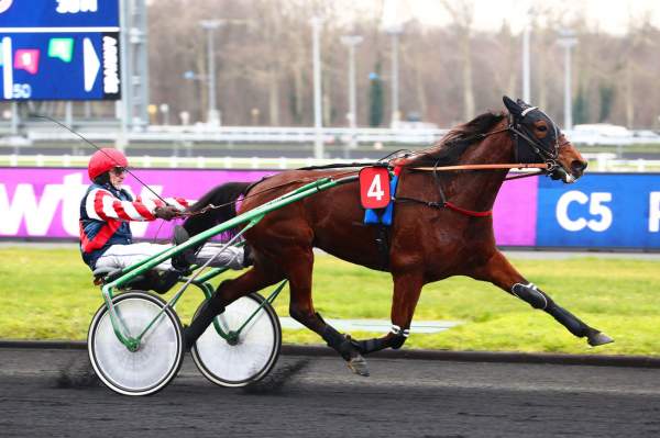 HIRONDELLE FEE