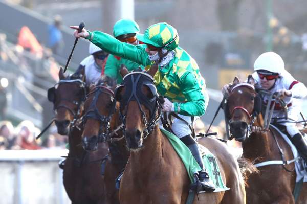 Chalimar De Guez Arrivée Prix du Pontavice de Heussey Hippodrome de Vincennes