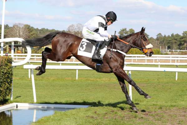 IMPULSION ALLEN