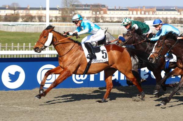 Raysteve Arrivée Quinté+ Prix de l'Allée des Philosophes Hippodrome de Chantilly