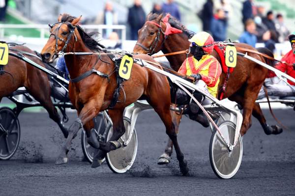 Galileo Bello Arrivée Quinté+ PMU Prix de Montsoreau à Vincennes