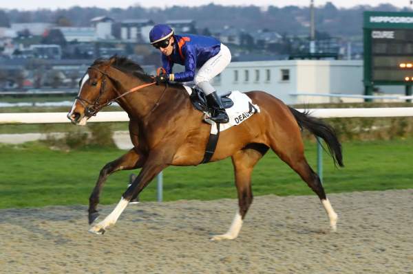 La photo de Half Half