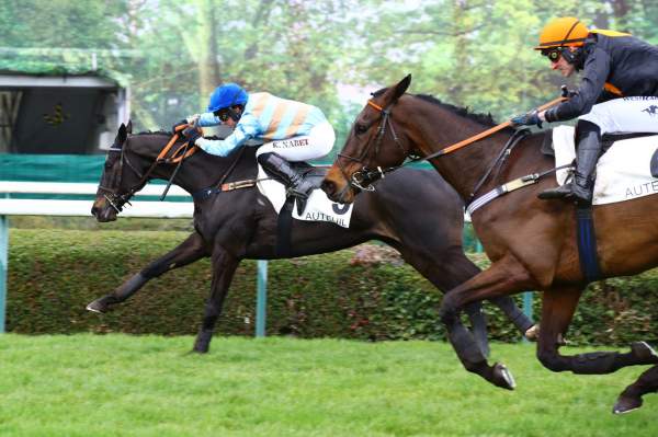 Carriacou Arrivée course PMU Prix Hubert d'Aillières à Auteuil