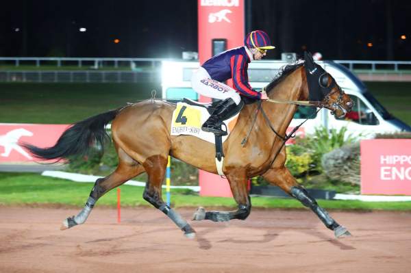 HOUKO SPORT