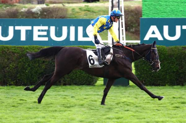 PRINCE ANJOU