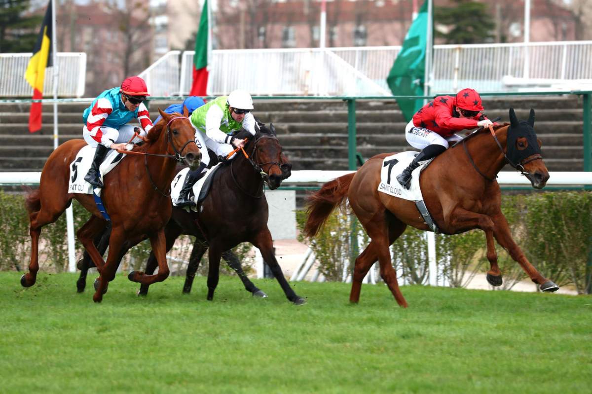 Résultats PMU. Arrivée du Prix Altipan (Listed-race), jeudi, à Saint ...