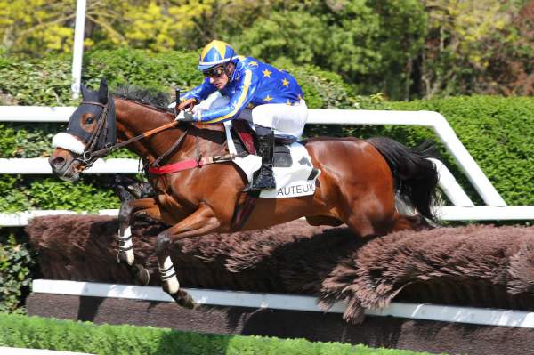 La photo de Square Saint Roch Prix Chamaubert Hippodrome d'Auteuil 