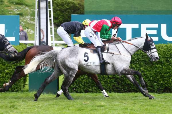Doctor Kaleo Arrivée du Prix William et Alec Head (Lr) Hippodrome d'Auteuil