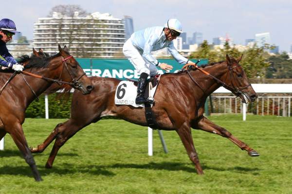CROWN PRINCESSE