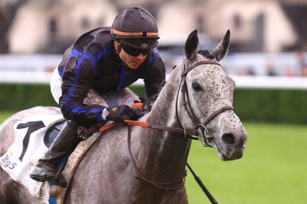 Melo Melo Arrivée prix Gold River Fonds Européen de l'Elevage (L) Hippodrome de ParisLongchamp
