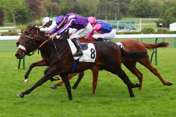 York Town Arrivée Prix du Château de Longchamp Hippodrome de ParisLongchamp