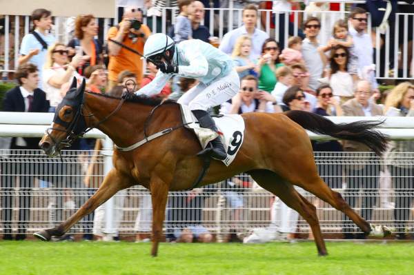 Gala Marceau Arrivée Prix Alain du Breil Grande Course de Haies de Printemps des 4 ans Hippodrome d'Auteuil
