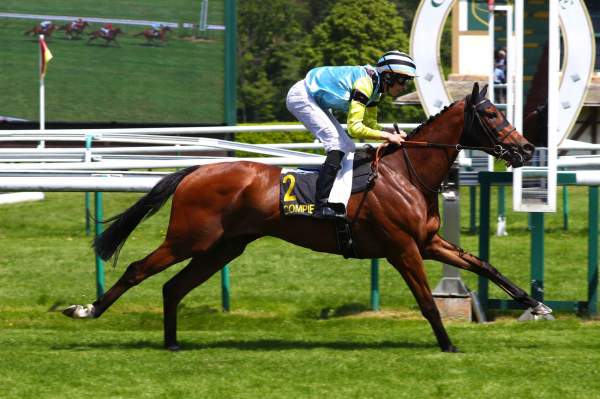 GRAND FETARD
