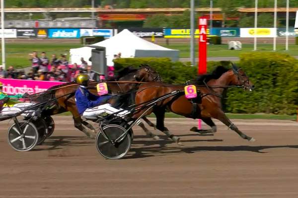 San Moteur Solvalla Elitloppet 2023 2e Batterie