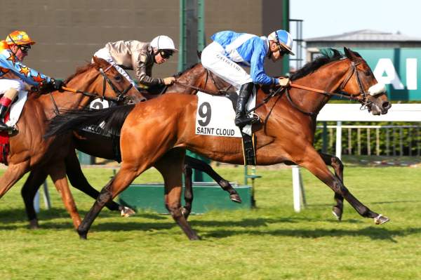 Agapi Mia Arrivée Quinté+ Pmu Prix Trillion à Saint-Cloud