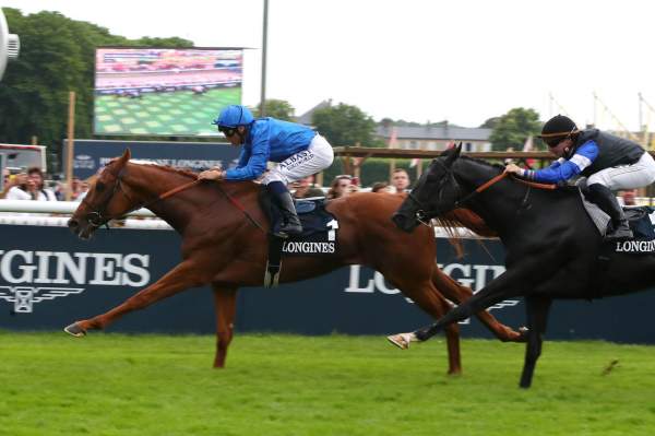 Tribalist Prix Bertrand du Breuil (Gr.3) Hippodrome de Chantilly