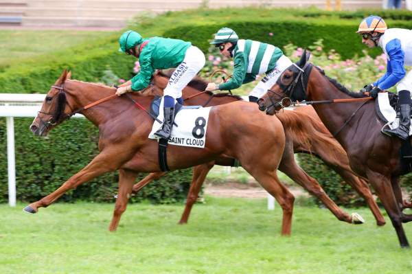 Darkaniya Arrivée Quinté+ Pmu Prix Magic Night à Saint-Cloud