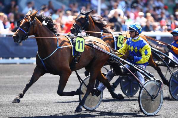 Bilo Jepson Arrivée PMU Quinté+ Prix Bertrand Deloison à Vincennes