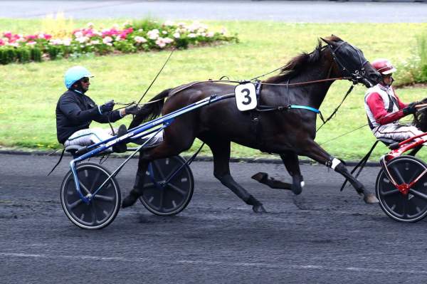 JANICK DU VIVIER