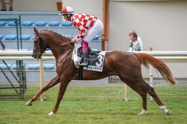 FIFRE AL MAURY
