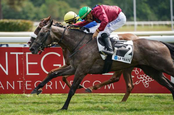 CELERIS DE BELAYR