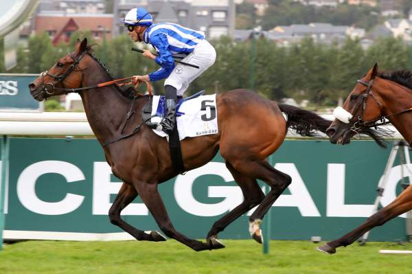 Jack Darcy arrivée PMU Grand Prix de Deauville (Gr2) à Deauville