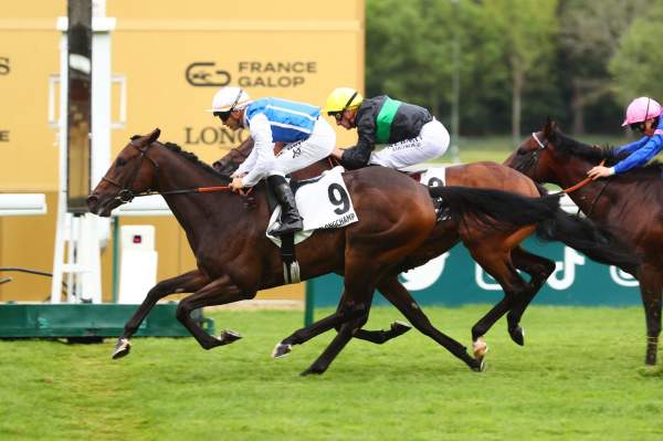 Tropisme Arrivée Quinté Pmu Prix du Bel Air à ParisLongchamp