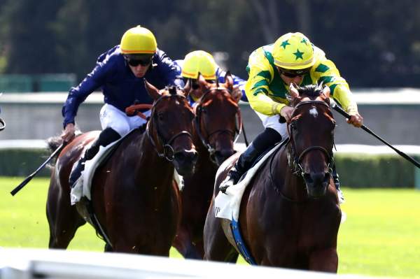 Horizon Dore Arrivée PMU Prix du Prince d'Orange à ParisLongchamp