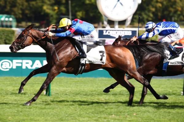 Sauterne Arrivée Pmu Prix du Moulin de Longchamp