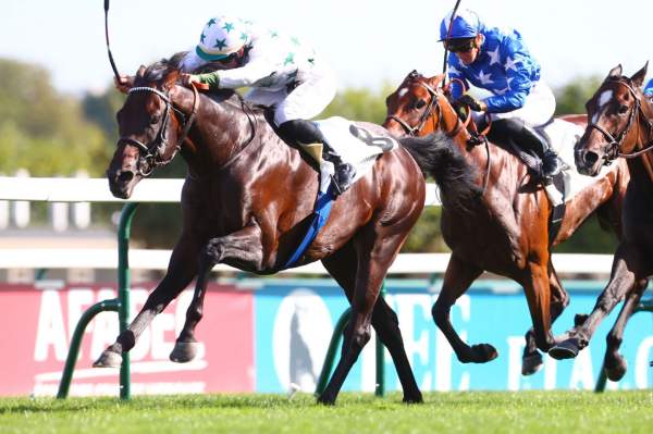 Naranco arrivée PMU La Coupe de Maisons-Laffitte (Gr3) à ParisLongchamp