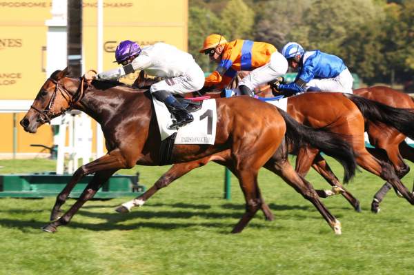 Freville Arrivée Pmu Prix d'Aumale à ParisLongchamp