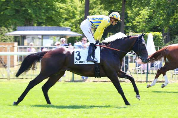 Haya Zark Qatar Prix de l'Arc de Triomphe 2023 Ã ParisLongchamp