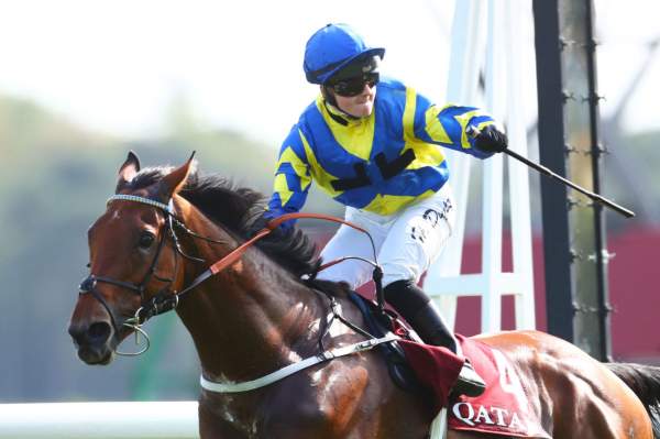 Trueshan Arrivée PMU Qatar Prix du Cadran à ParisLongchamp