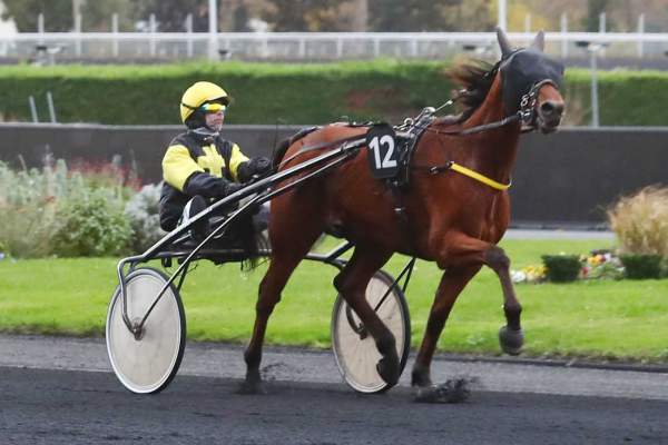 KENOR DE BASSIERE